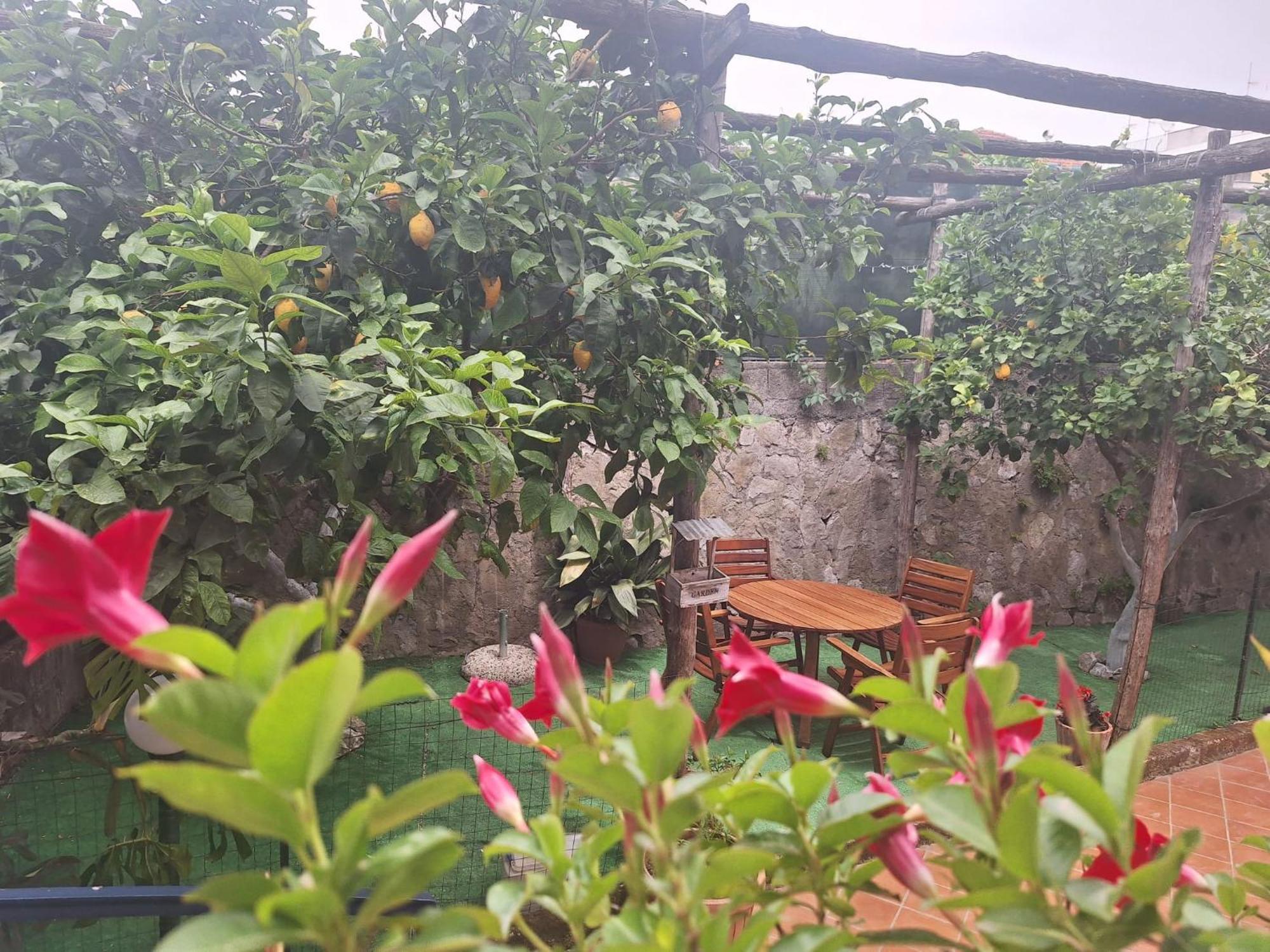Grazia'S Home Sant'Agnello Extérieur photo